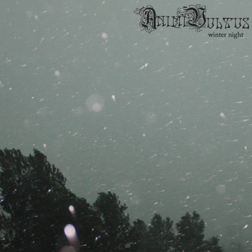 Animi Vultus : Winter Night Animi Vultus : Winter Night